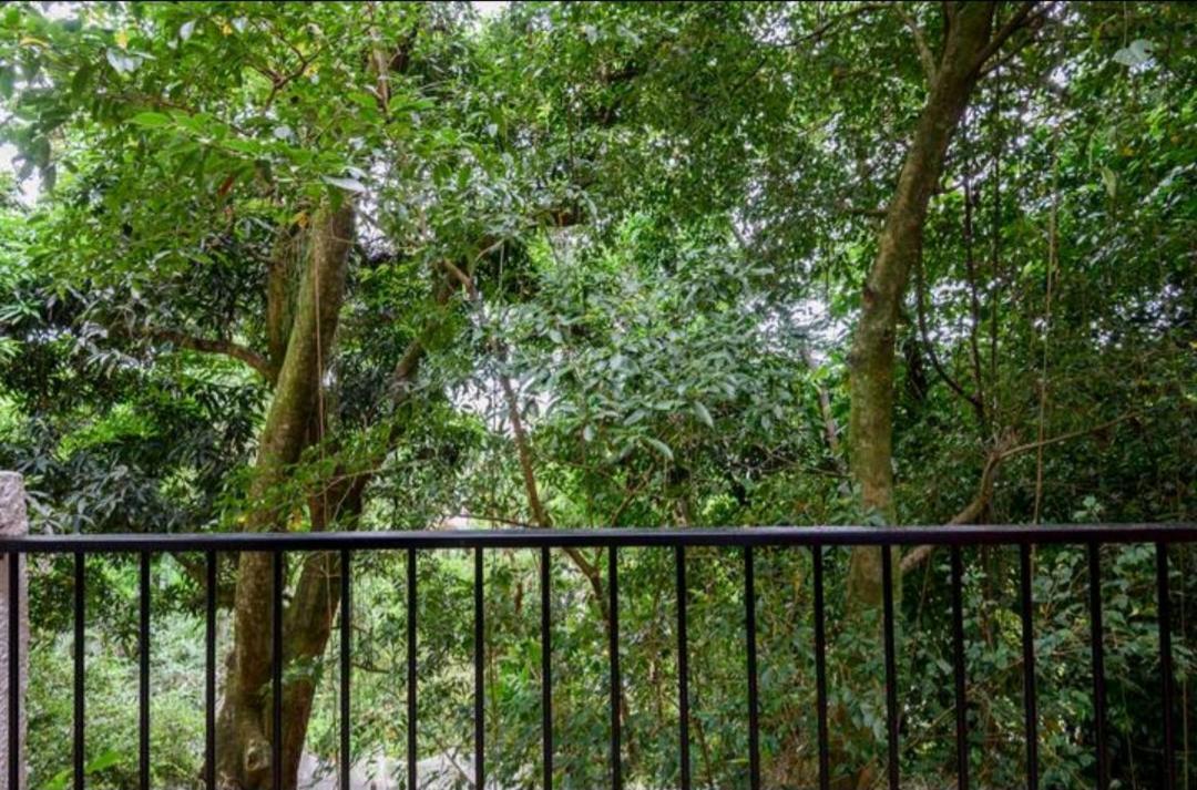 Santa Teresa Junto A Natureza Rio de Janeiro Luaran gambar